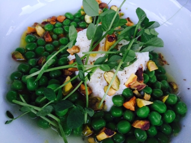 Scottish Pub in Napa Valley