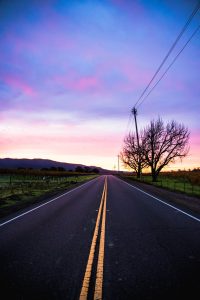 A paved road running alongside a vineyard while the sun rises behind.