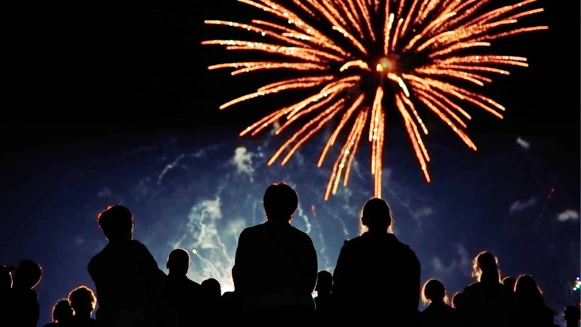 a group of people watching fireworks in the dark night sky