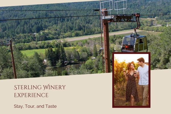 Sterling Winery Experience | Stay, Tour, and Taste