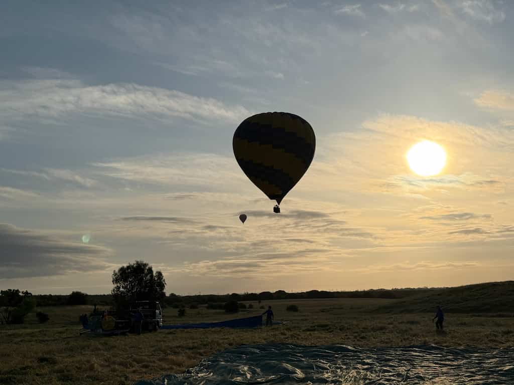 A hot air balloon in Calistoga lifting off of the ground during sunrise