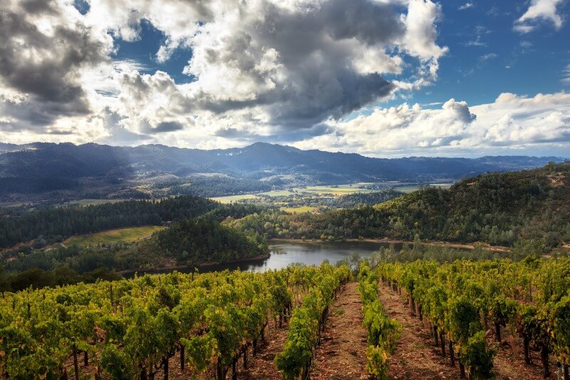 Sunny view of Napa Valley's vineyard, lake, and farmland in Calistoga, CA