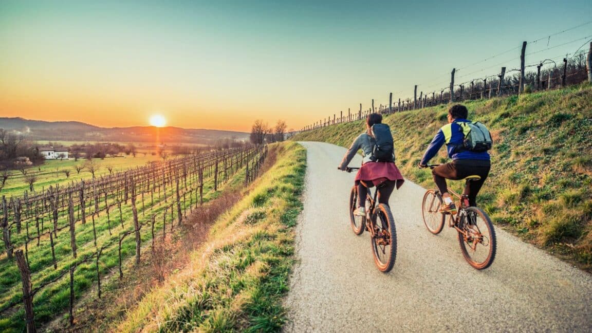 A couple is biking on a paved path by a vineyard at sunset