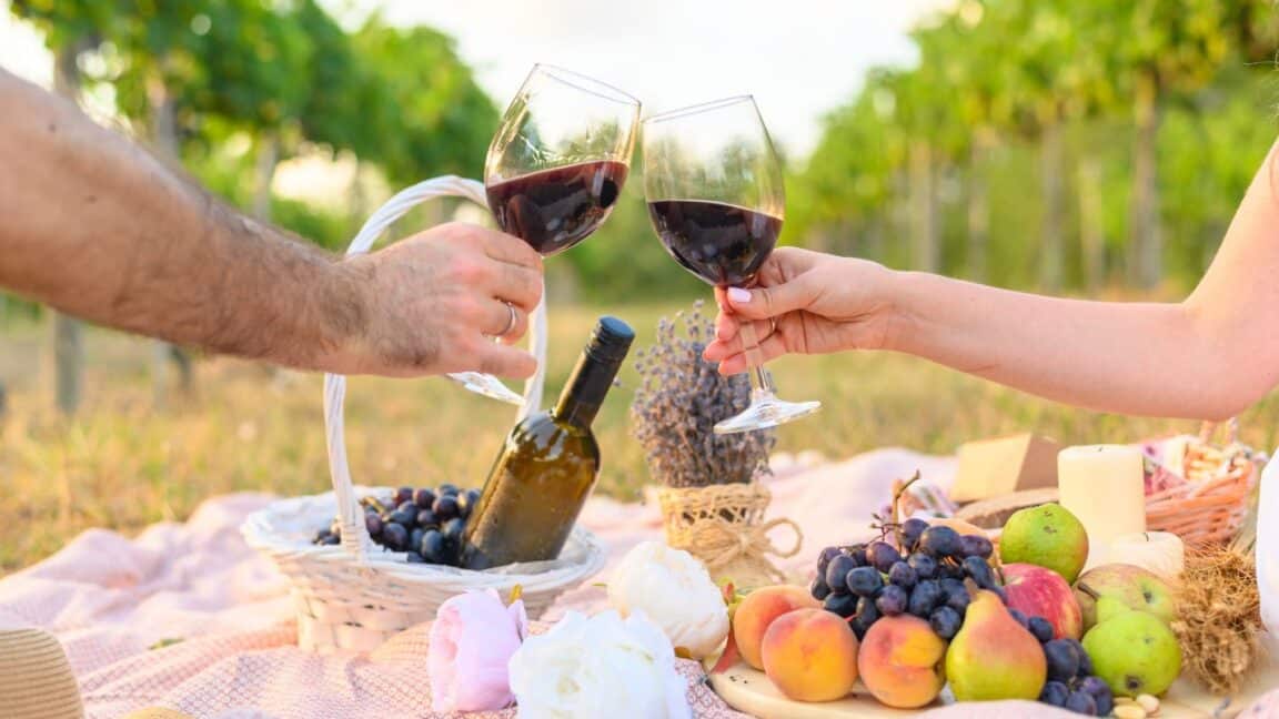 A couple having a picnic in a vineyard