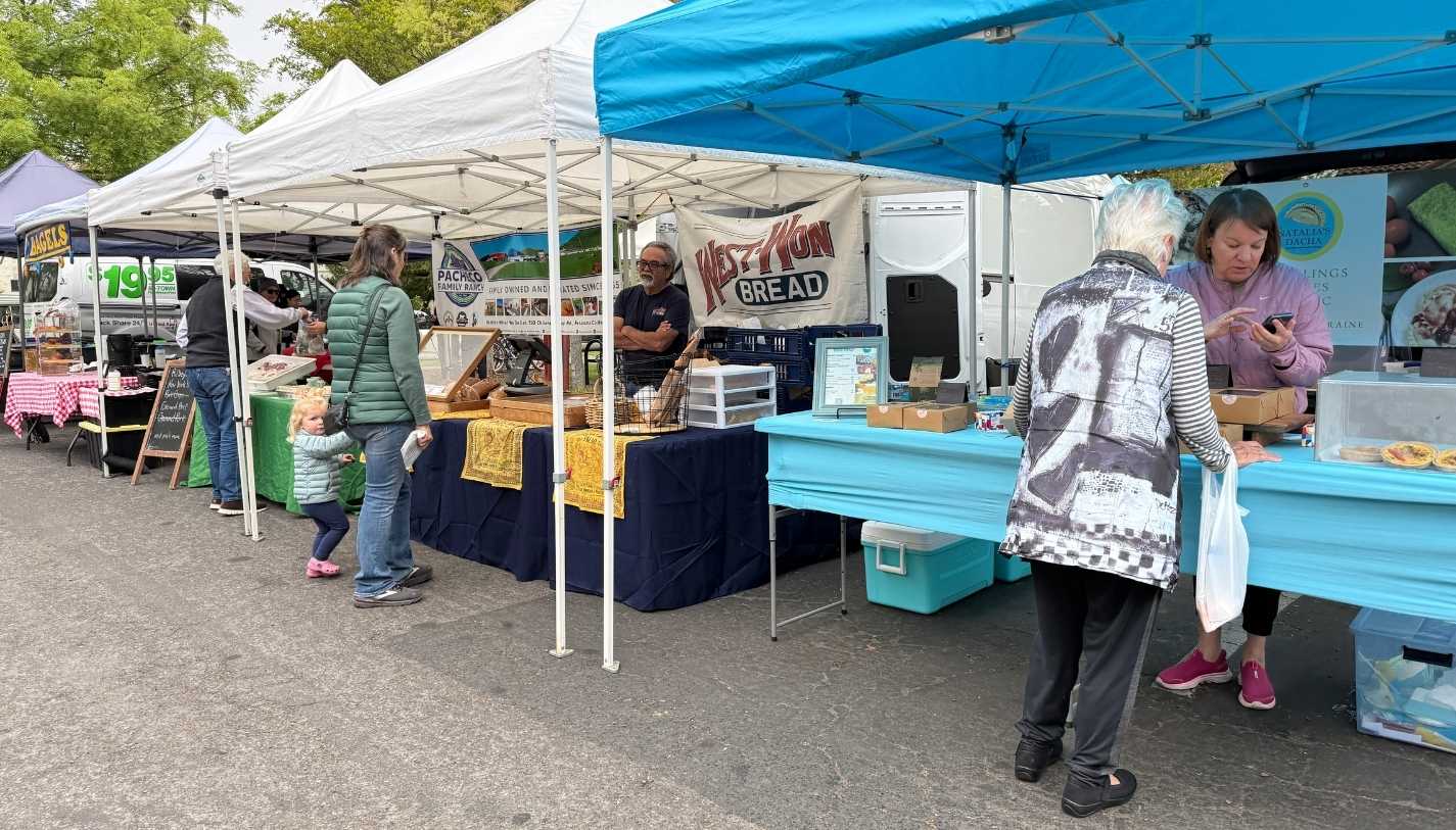 Shoppers stopping at vendor tents at the Calistoga Farmers Market