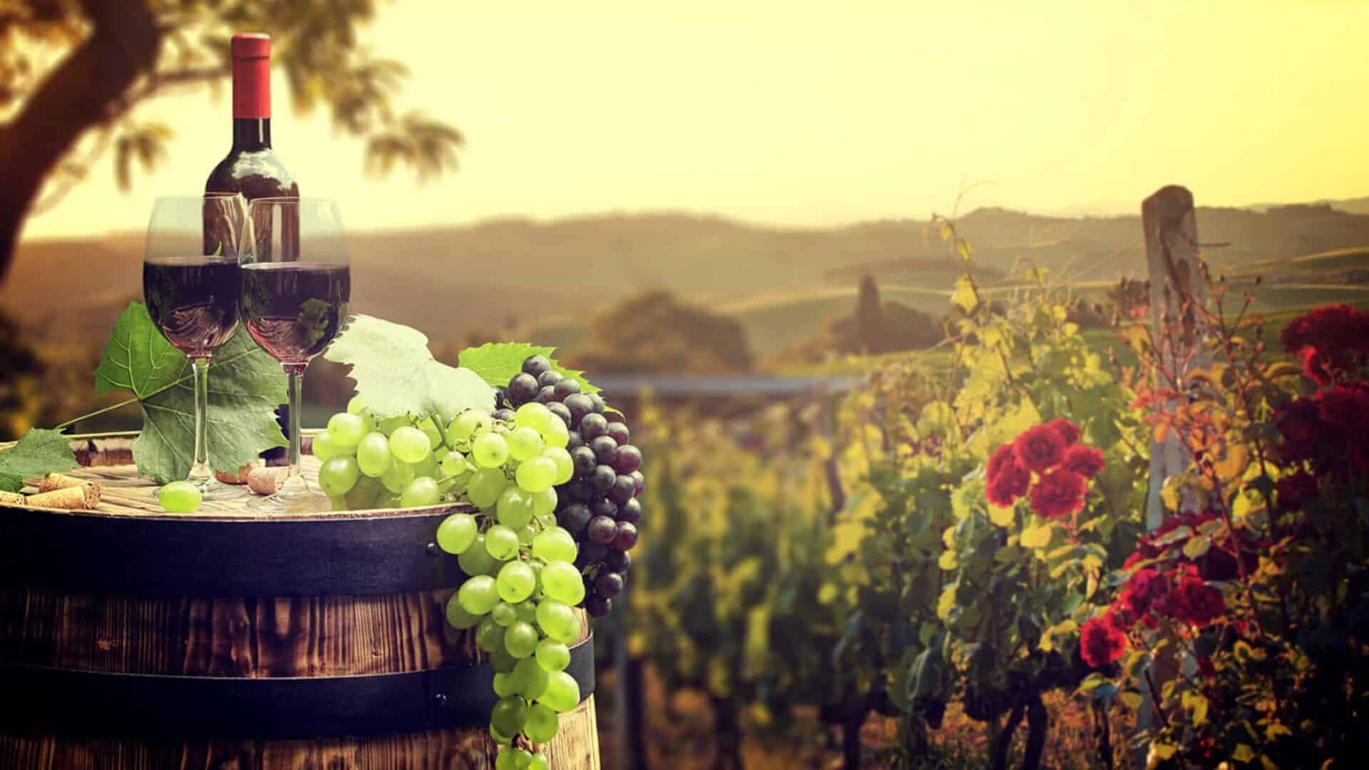 Two glasses full of red wine and green and red grapes sitting on top of a wooden barrel with grape vines in the background