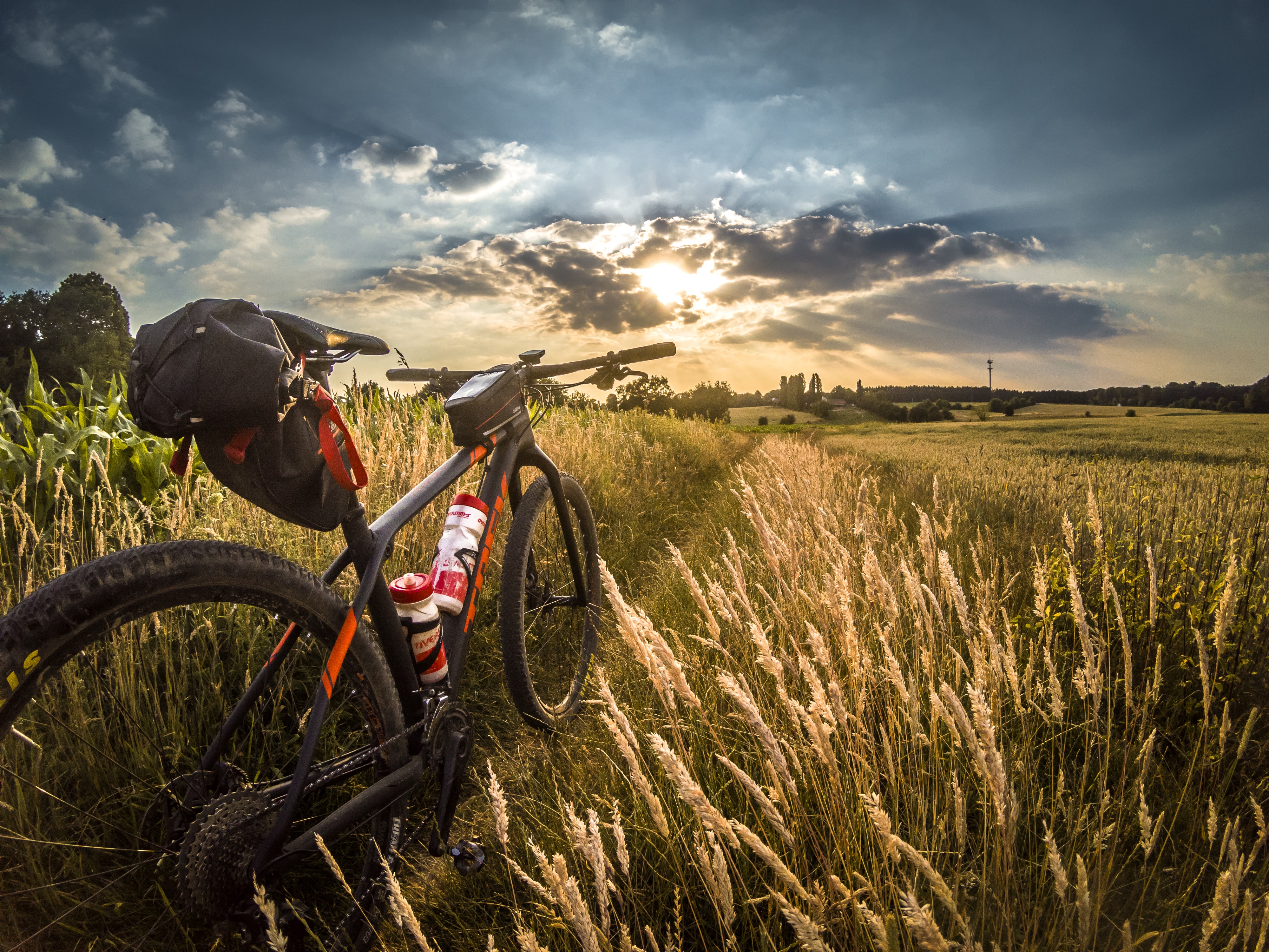 A black mountain bike parked along a golden field.