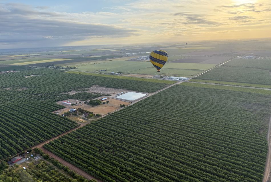 A hot air balloon flying over the vineyards of Napa Valley at sunrise