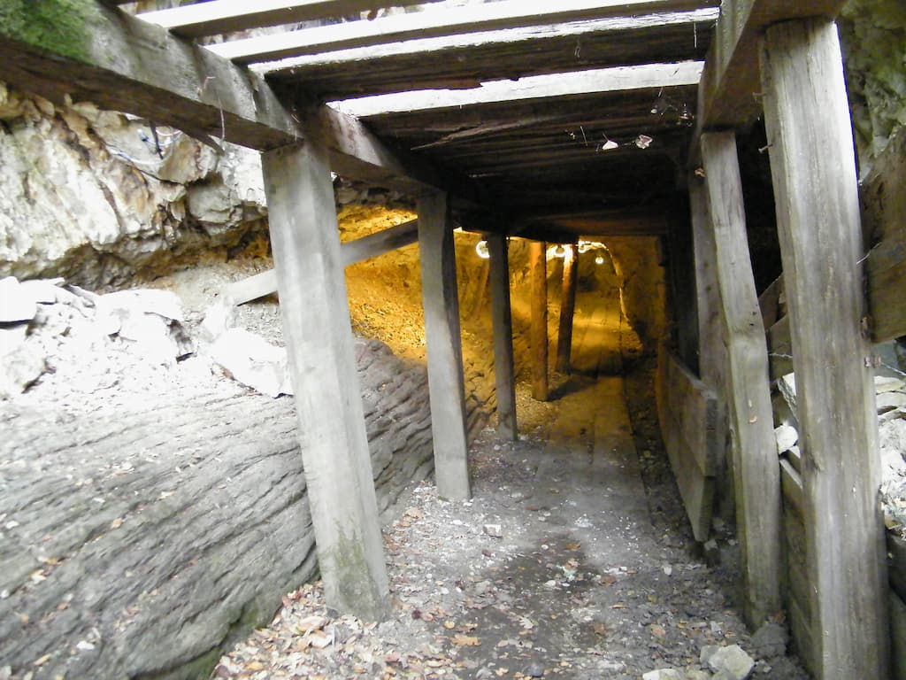 Petrified Forest in Calistoga