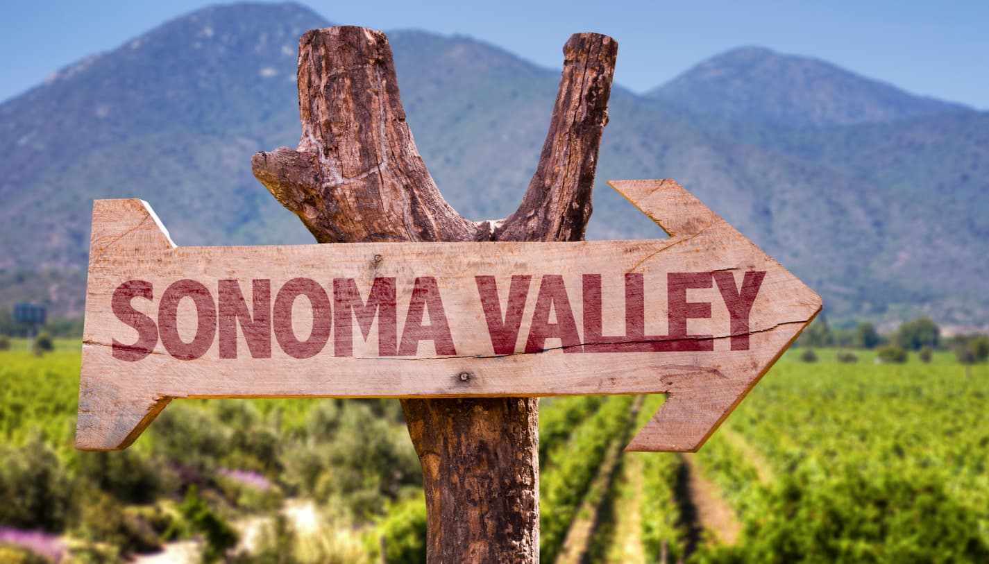 Sign in a vineyard pointing to Sonoma Valley
