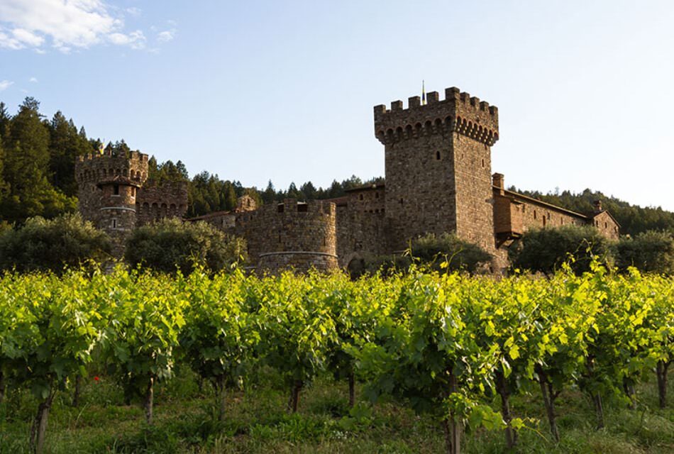 Brick castle surrounded by grape vines with green leaves