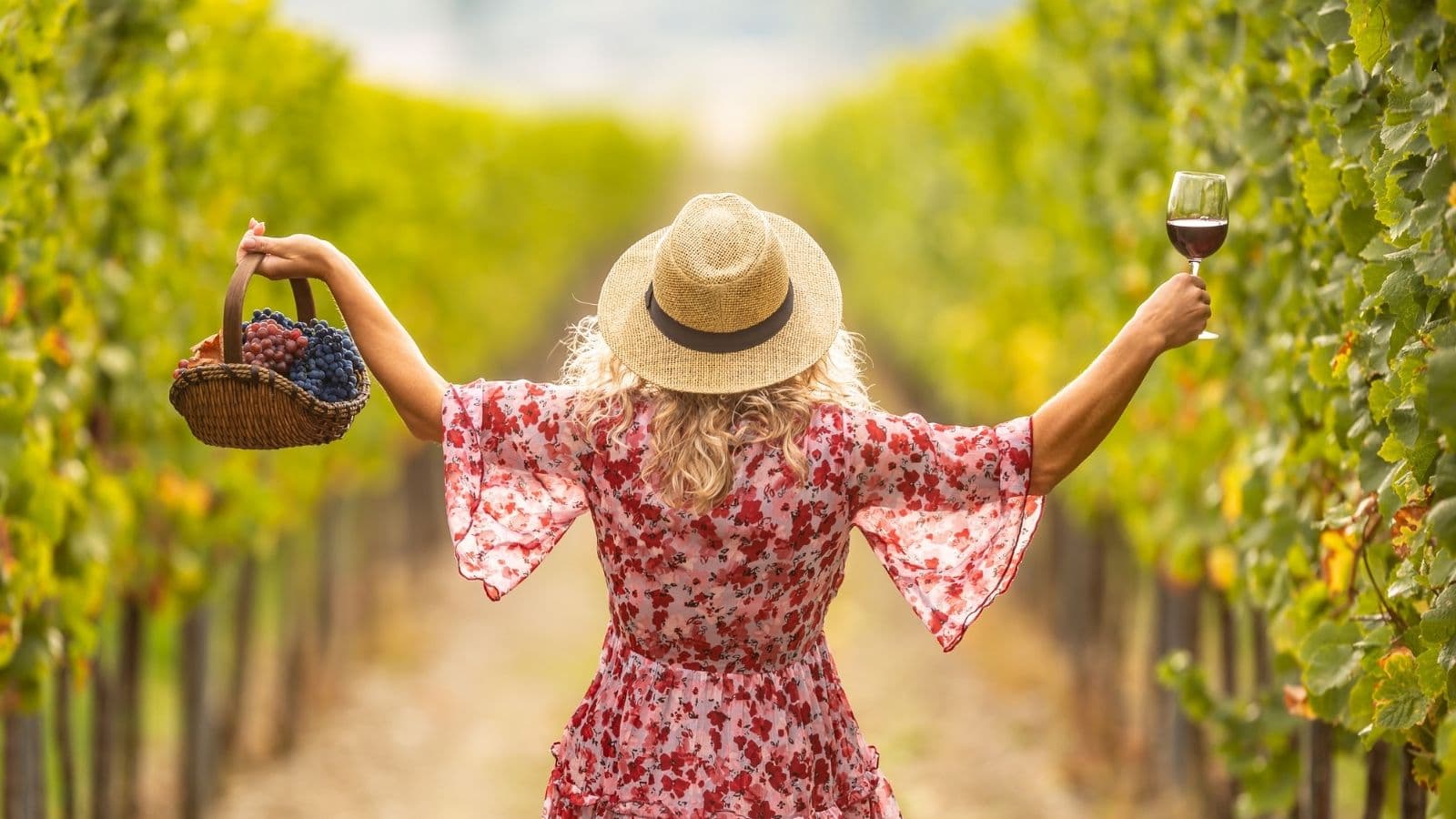A woman holding a basket of grapes and a glass of wine as she walks through a vineyard in Napa Valley